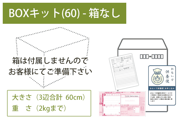 ボックスキット箱なし（60）
