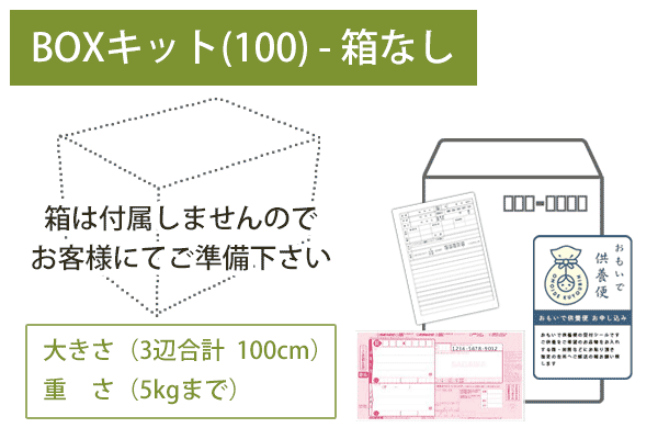 ボックスキット箱なし（100）